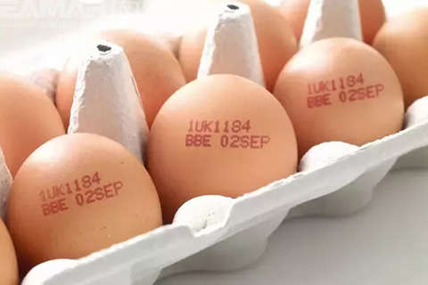 雞蛋噴碼機樣品效果