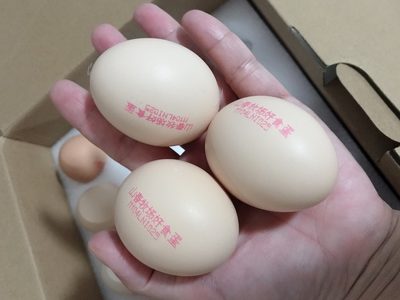 瀏覽全球網(wǎng)絡(luò)，您還能找到比這個更全面的雞蛋噴碼機(jī)解決方案嗎？