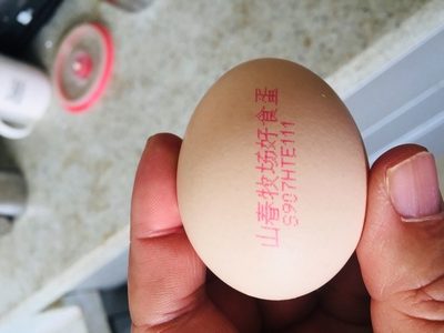 瀏覽全球網(wǎng)絡(luò)，您還能找到比這個更全面的雞蛋噴碼機(jī)解決方案嗎？