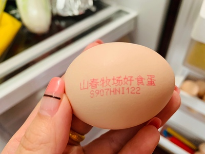 瀏覽全球網(wǎng)絡(luò)，您還能找到比這個更全面的雞蛋噴碼機(jī)解決方案嗎？