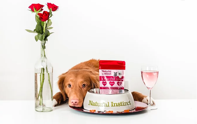 千億“它”經(jīng)濟進入快車道，看賦碼如何應對挑戰(zhàn)？